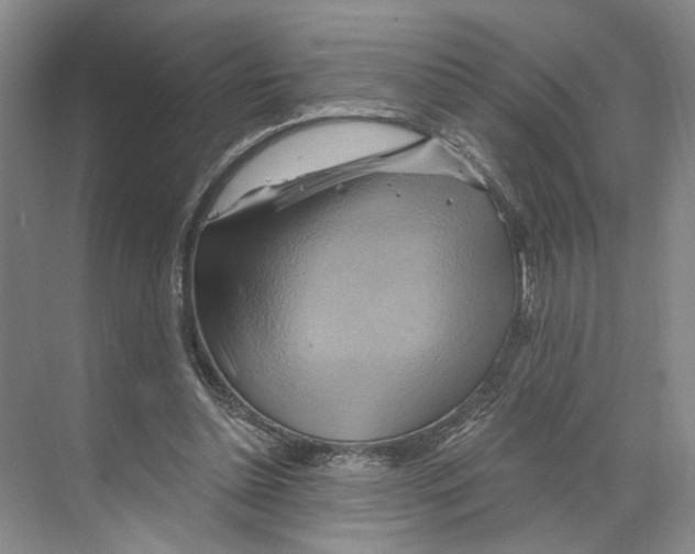 X0000068860348200606021806