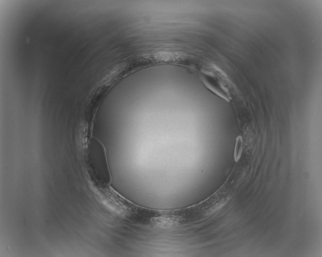 X0000068860356200606021807