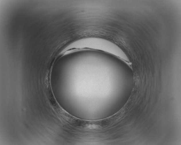 X0000068860360200606021807