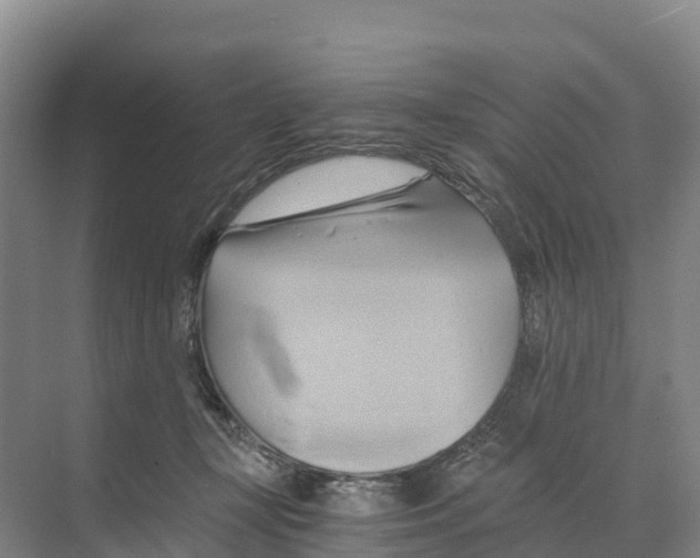 X0000068860367200606021807