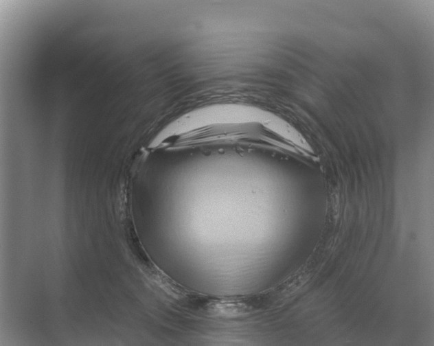X0000068860372200606021807