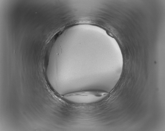 X0000068860385200606021806