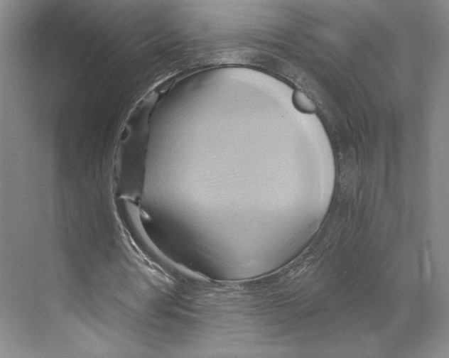 X0000068860386200606021806