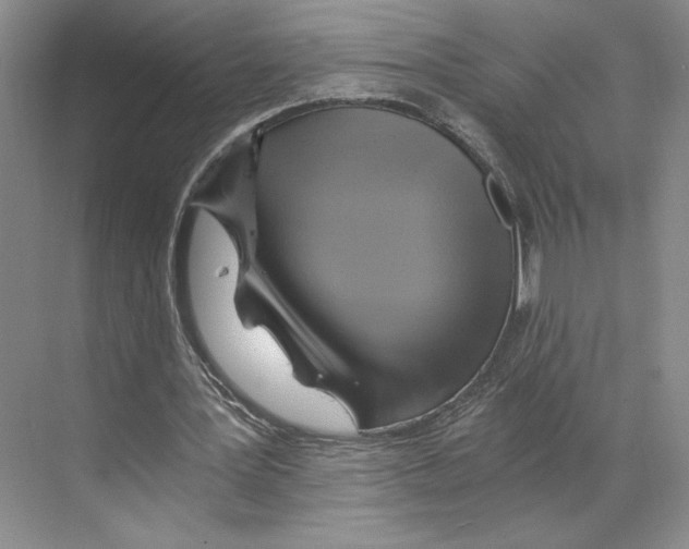X0000068860387200606021806