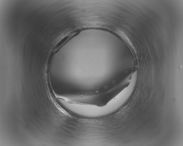 X0000068860389200606021806