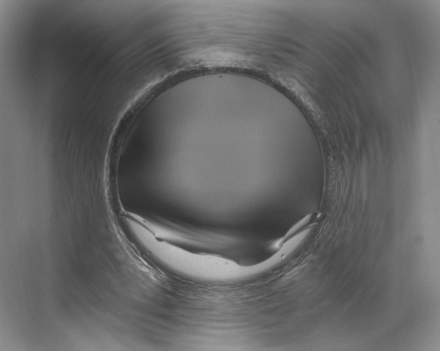 X0000068860391200606021806