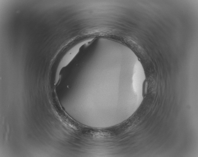X0000068860400200606021806