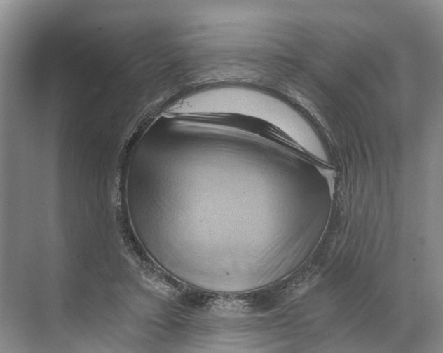X0000068860403200606021806