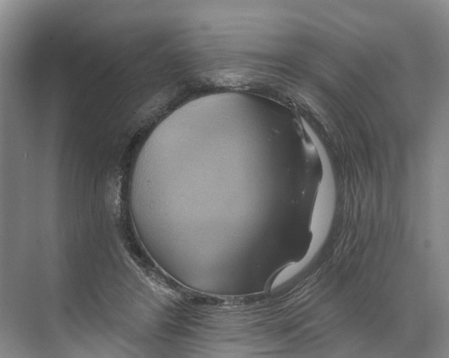 X0000068860404200606021806