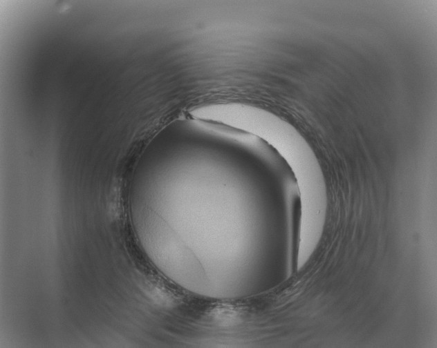 X0000068860416200606021806