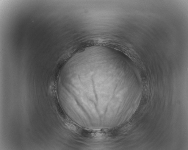 X0000068860419200606021806