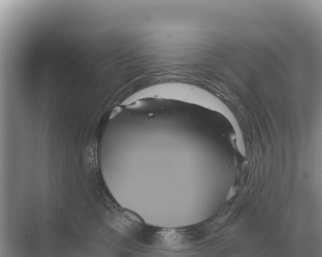 X0000068860425200606021805