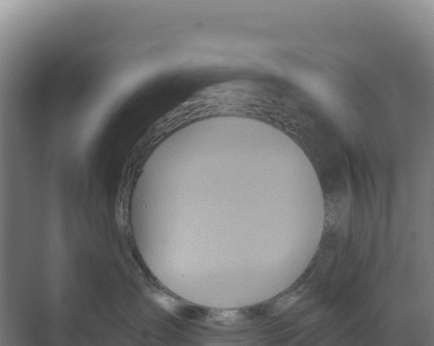 X0000068860431200606021805