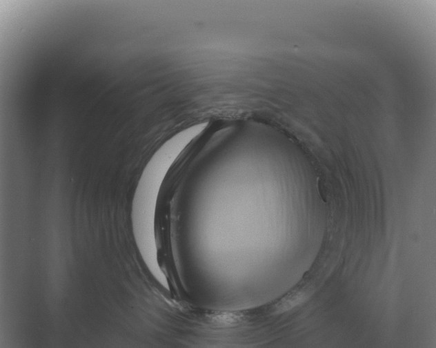 X0000068860432200606021805