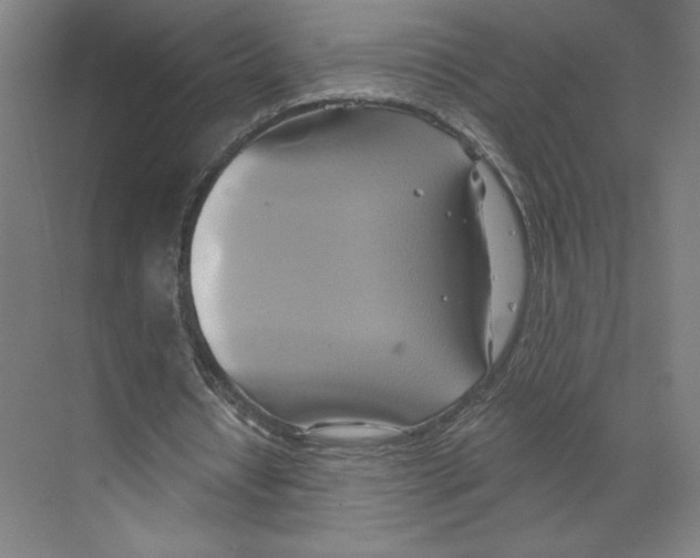 X0000068860434200606021805