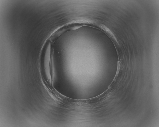 X0000068860436200606021805
