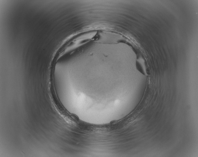 X0000068860438200606021805