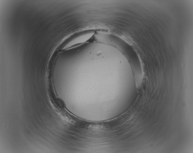 X0000068860440200606021805