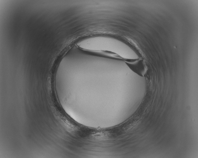 X0000068860447200606021805