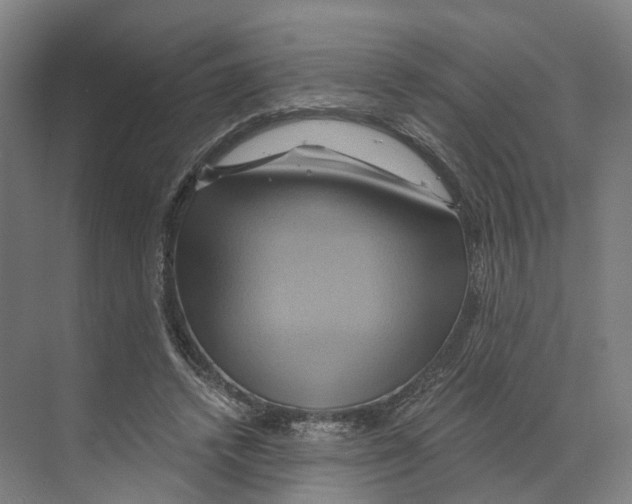 X0000068860448200606021805