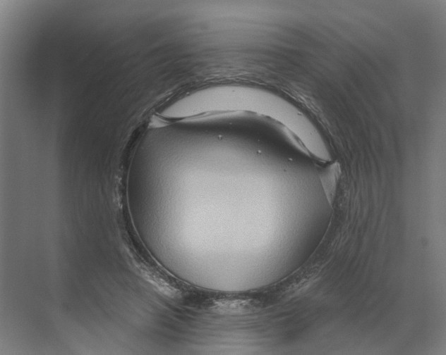 X0000068860450200606021805