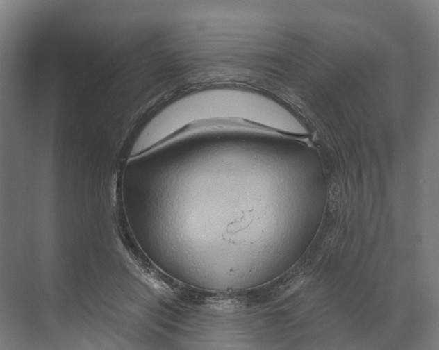X0000068860454200606021805