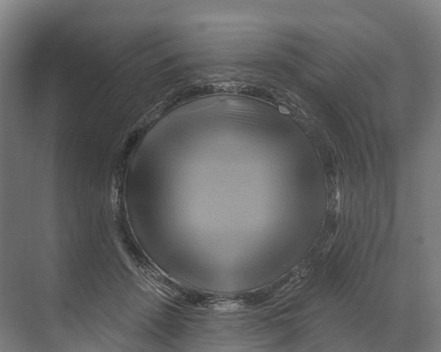 X0000068860456200606021805