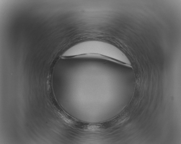 X0000068860462200606021805