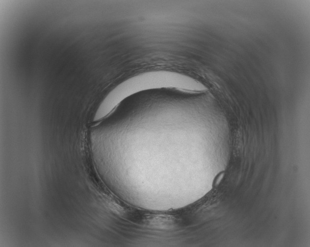 X0000068860463200606021805