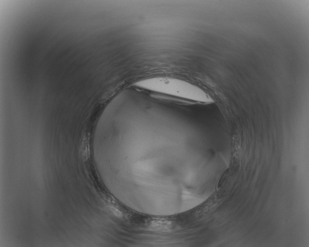 X0000068860471200606021805