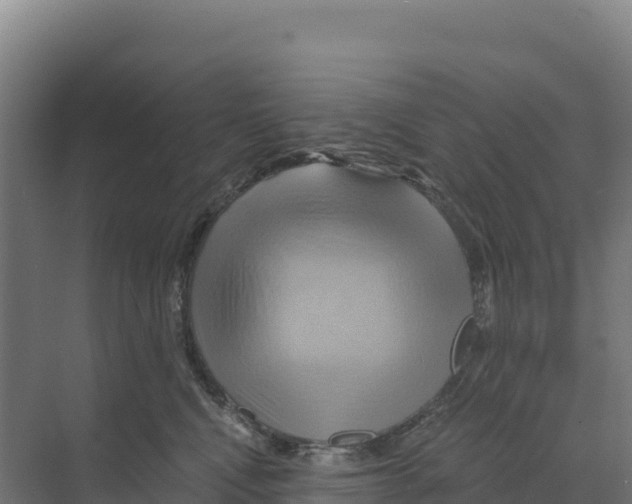 X0000068860472200606021805