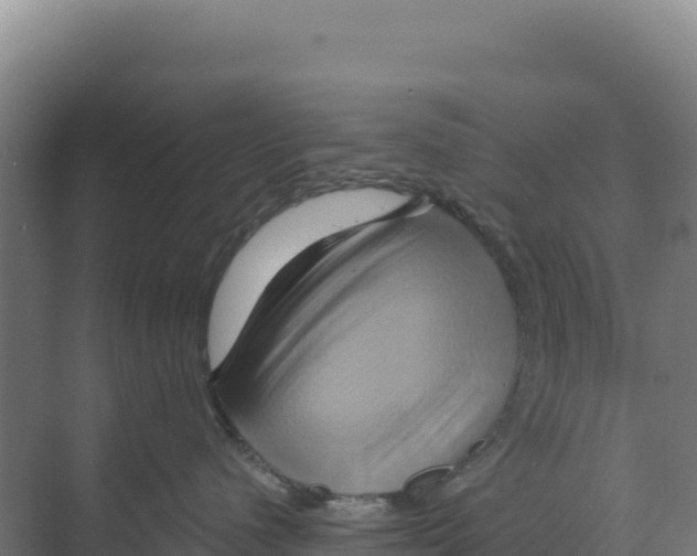 X0000068860480200606021805