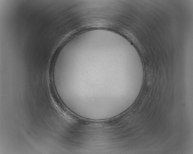 X0000068860482200606021805