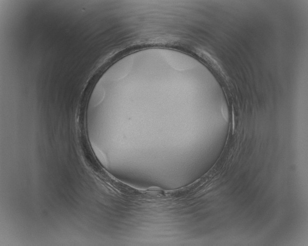 X0000068860483200606021805