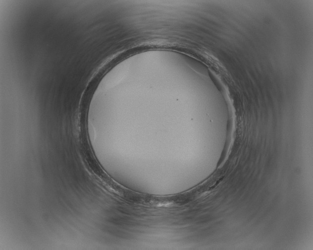 X0000068860484200606021804