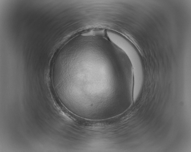 X0000068860485200606021804