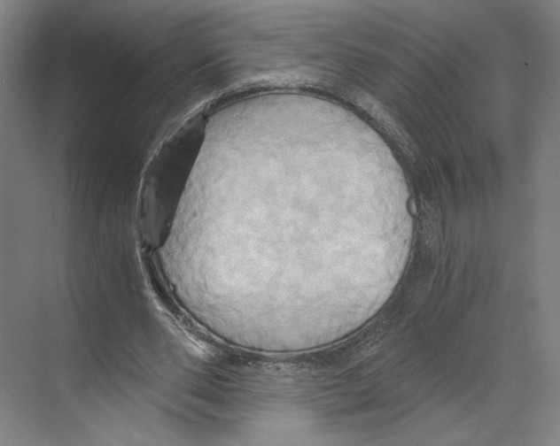 X0000068860486200606021804