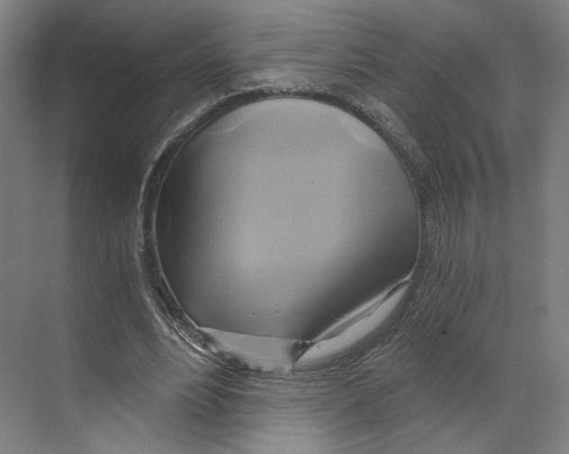 X0000068860488200606021804