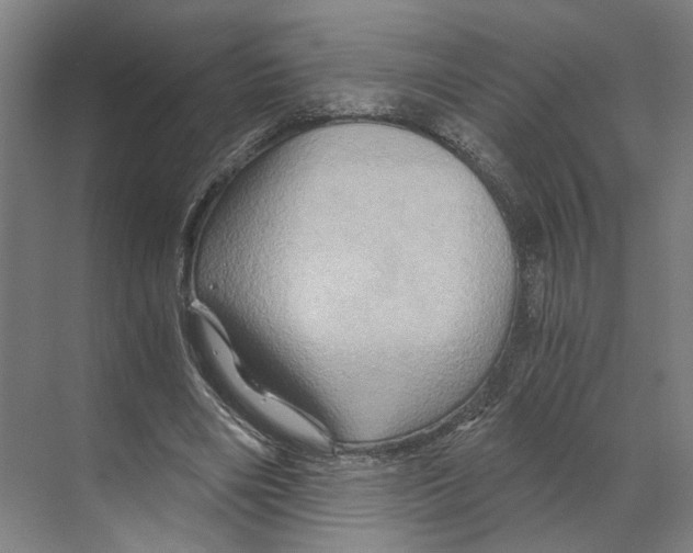 X0000068860490200606021804