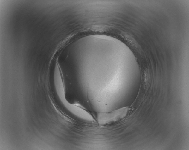 X0000068860492200606021804