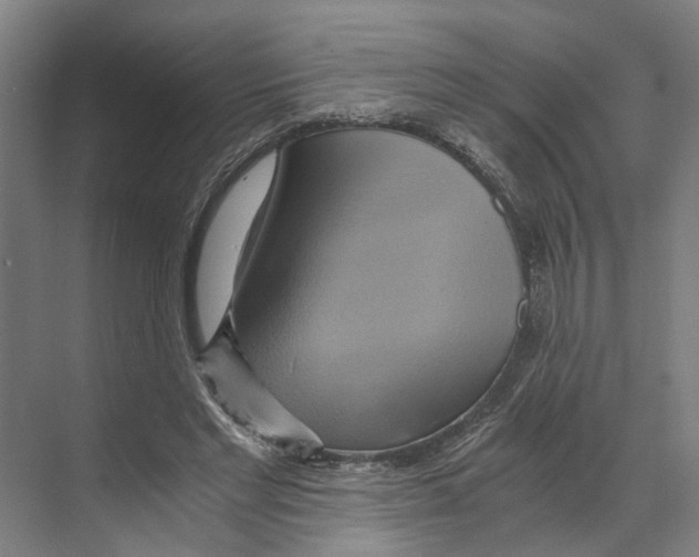 X0000068860493200606021804