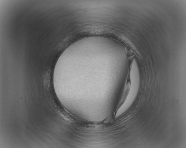 X0000068860497200606021804