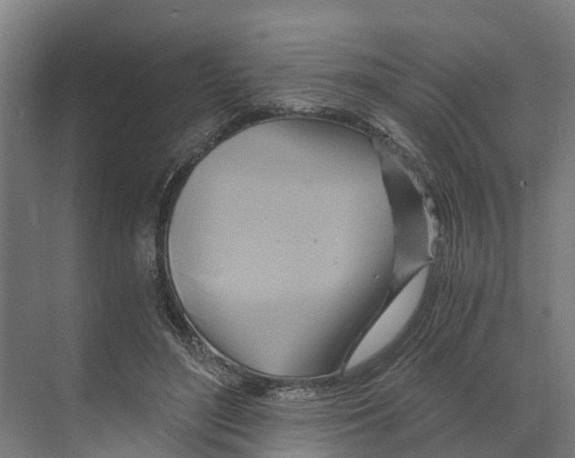 X0000068860500200606021804