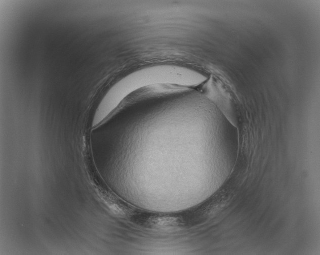 X0000068860501200606021804