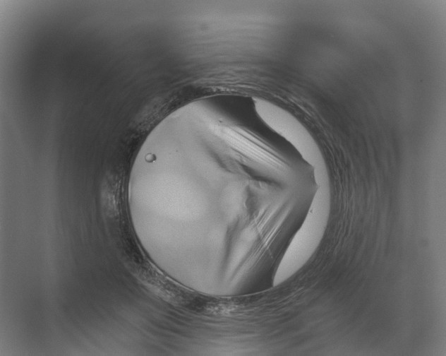 X0000068860503200606021804