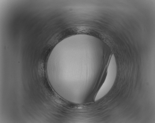 X0000068860506200606021804