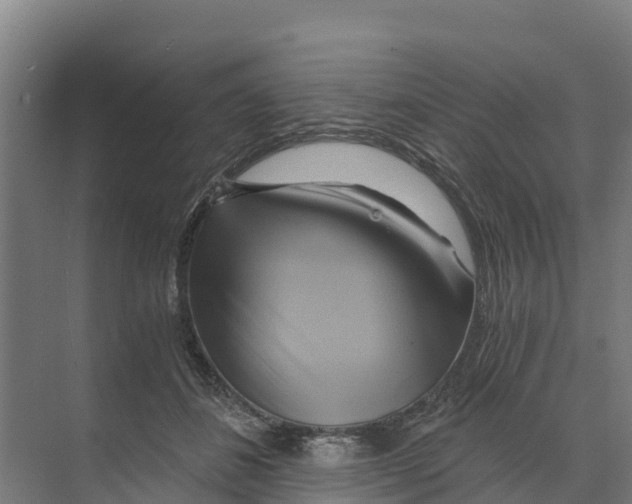 X0000068860508200606021804