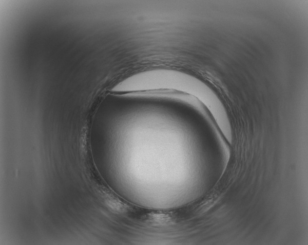 X0000068860509200606021804