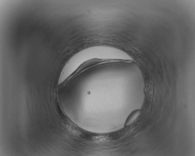 X0000068860511200606021804