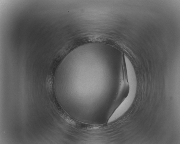 X0000068860513200606021804